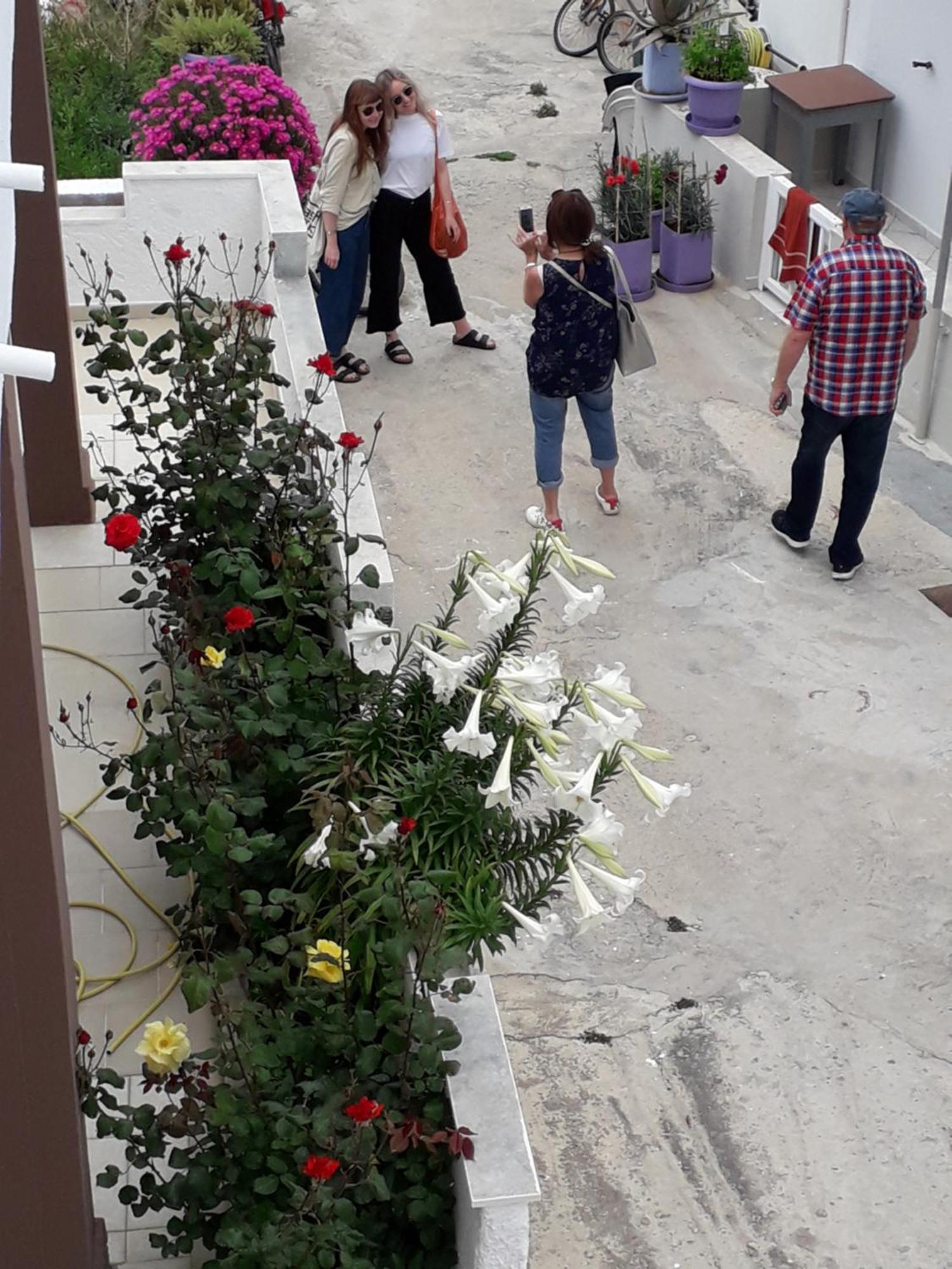 Mastichari Nektaria Studio Apartment Luaran gambar