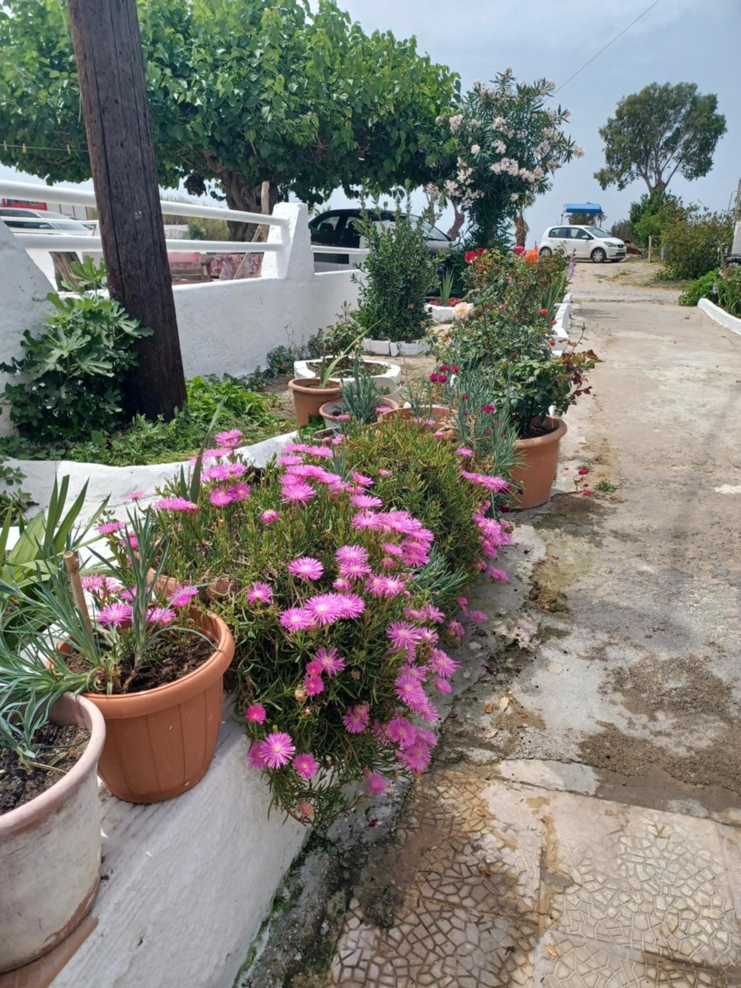Mastichari Nektaria Studio Apartment Luaran gambar
